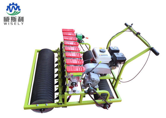China Máquinas de plantadora de ensaladas verdes de motor de gasolina de 8 filas utilizadas en agricultura proveedor